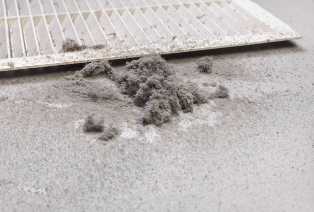 Best HVAC Duct Inspection Services  in Goodman, MO